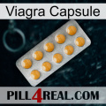 Viagra Capsule levitra1